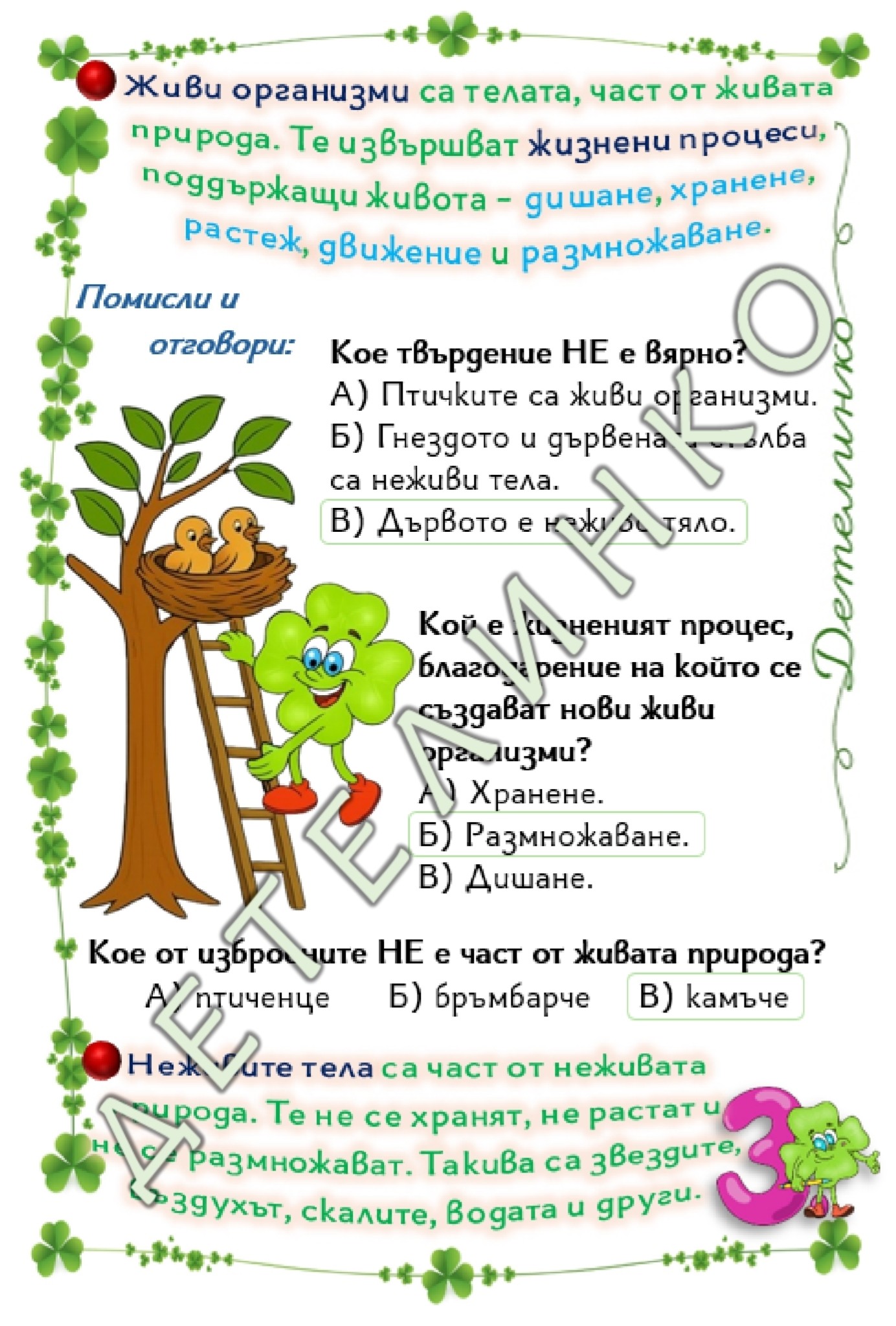 Read more about the article Образователните карти „Детелинко“ за 3. клас